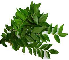 Srilankan Curry Leaves